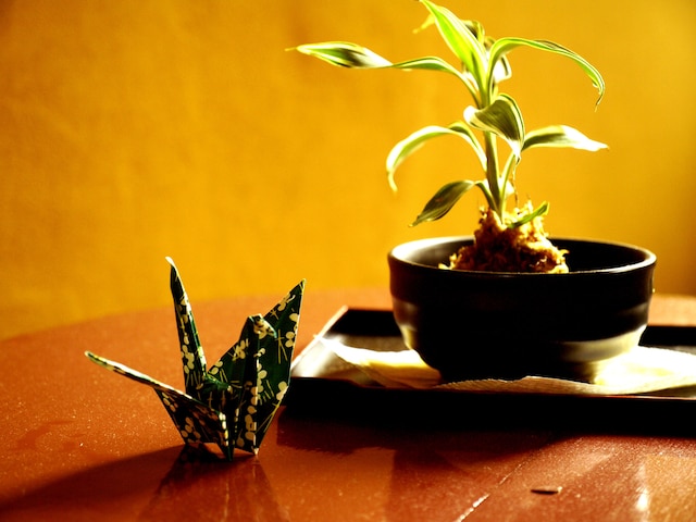 ホステル ムンド