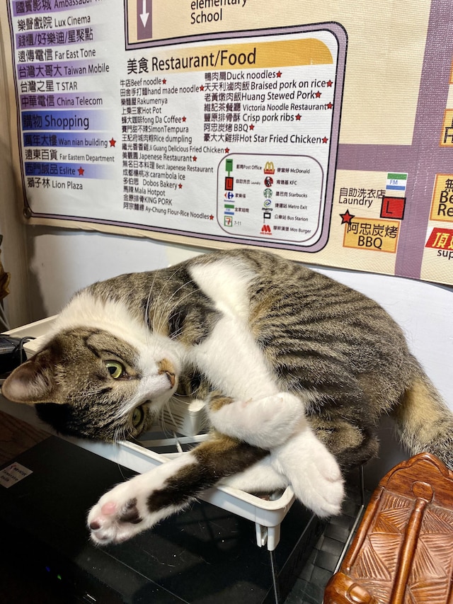 シイメン トリプル タイガー ホステル (西門三只老虎)