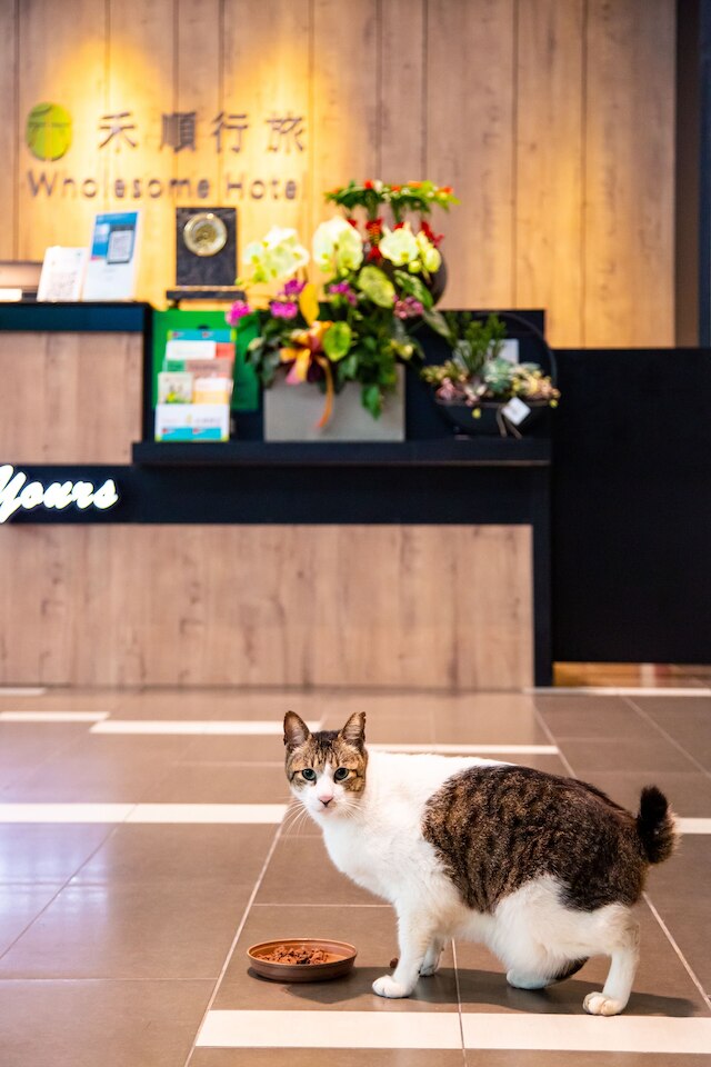 ホールサム ホテル (禾順行旅)