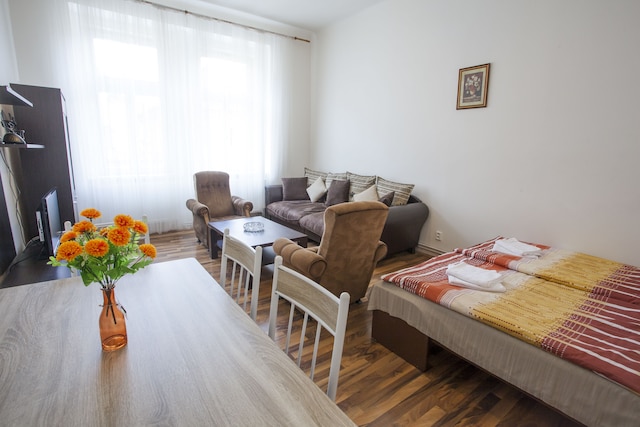 ダウンタウン アパートメンツ プラハ