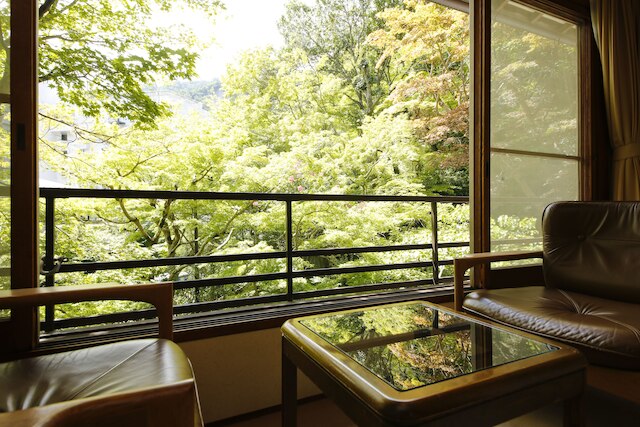 橋乃家別館 嵐翠