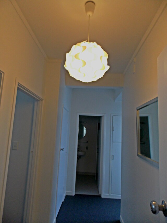 パーネル パインズ