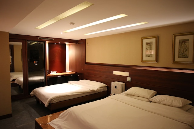 DH ネサンス ホテル東大門/DH Naissance Hotel