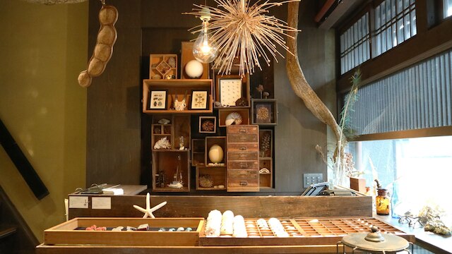 ウサギノネドコ