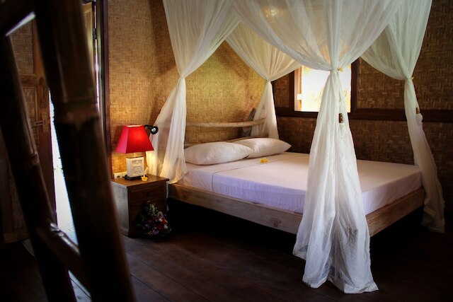 ザ カームツリー バンガローズ