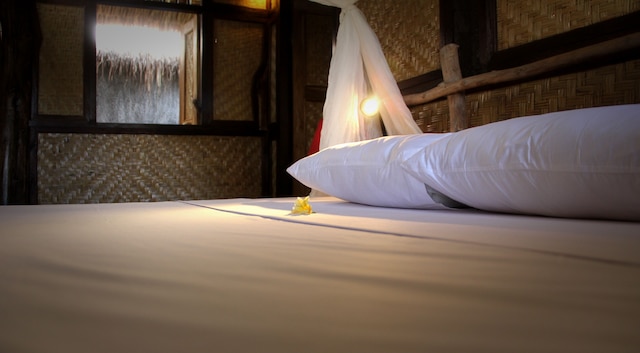 ザ カームツリー バンガローズ