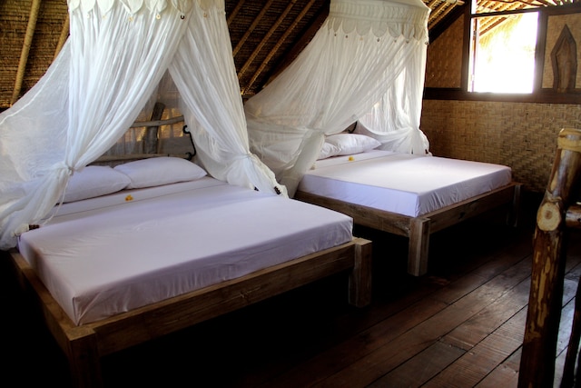 ザ カームツリー バンガローズ