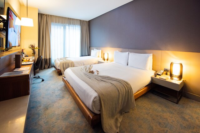 ドッソ ドッシ ホテルズ & スパ ダウンタウン