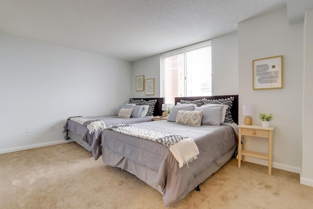 ファンタスティックコンドボールストンジム付き