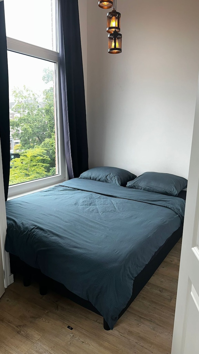 ロッテルダム イン