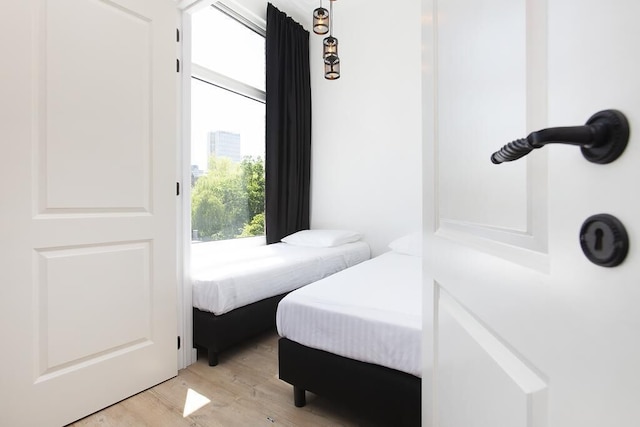 ロッテルダム イン