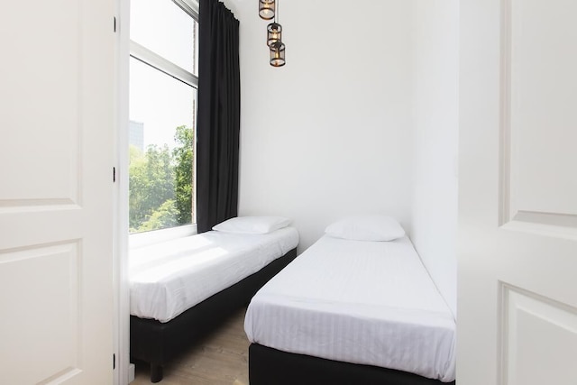 ロッテルダム イン