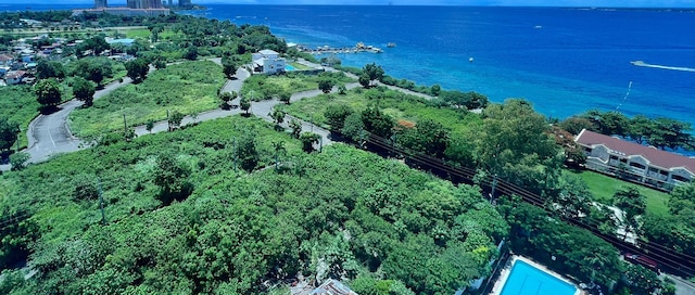 スペーシャス オーシャンビュー コーナー スイート ブランド ニュー