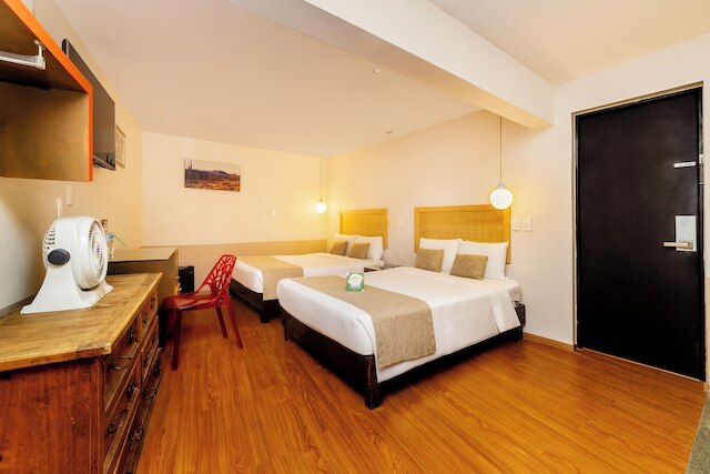 コレクション O カサ アンズレス テマティック、メキシコシティ