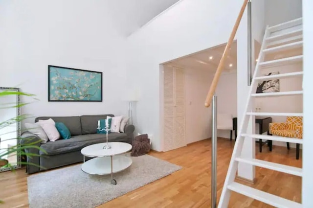 豪華で明るい、市内中心部まで徒歩5分