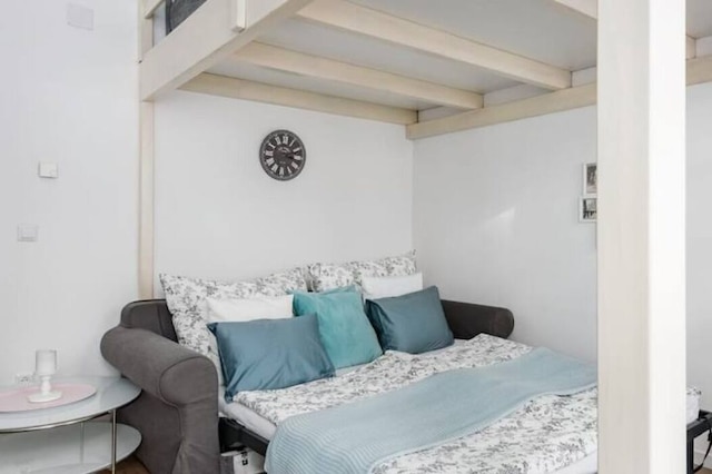 豪華で明るい、市内中心部まで徒歩5分