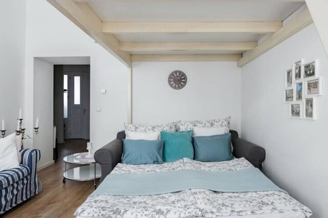 豪華で明るい、市内中心部まで徒歩5分