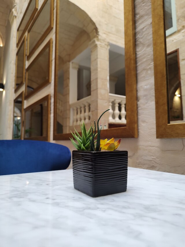 マルベリースイーツ