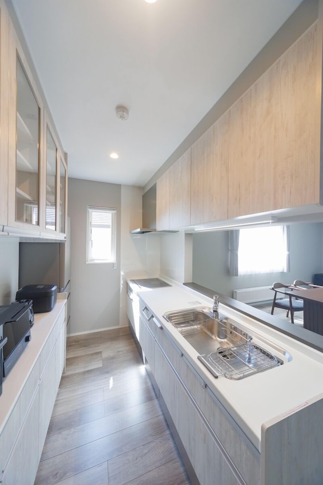 LYS GRACIEUX【Ezo Fuji hoothills】