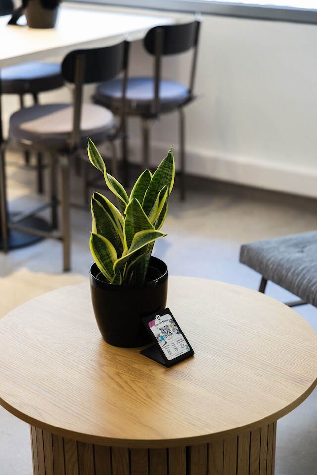 ザ・キューホテル