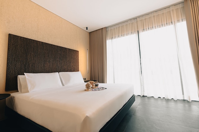 ザ・ファニーライオン - プエルト・プリンセサ