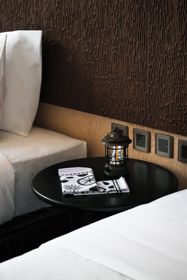 ザ・ファニーライオン - プエルト・プリンセサ