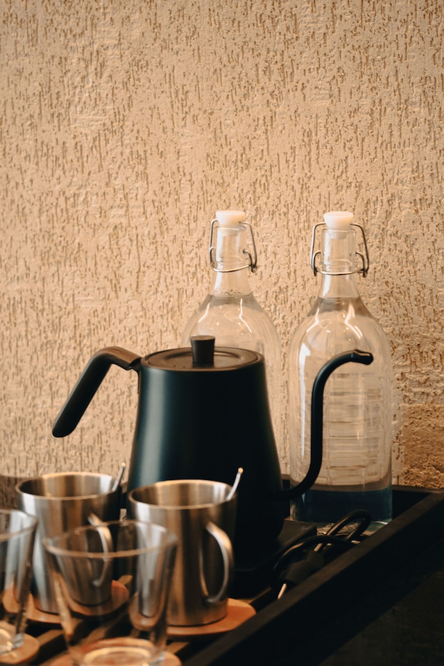 ザ・ファニーライオン - プエルト・プリンセサ