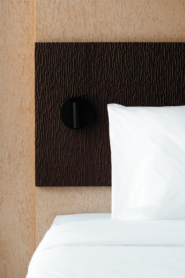 ザ・ファニーライオン - プエルト・プリンセサ