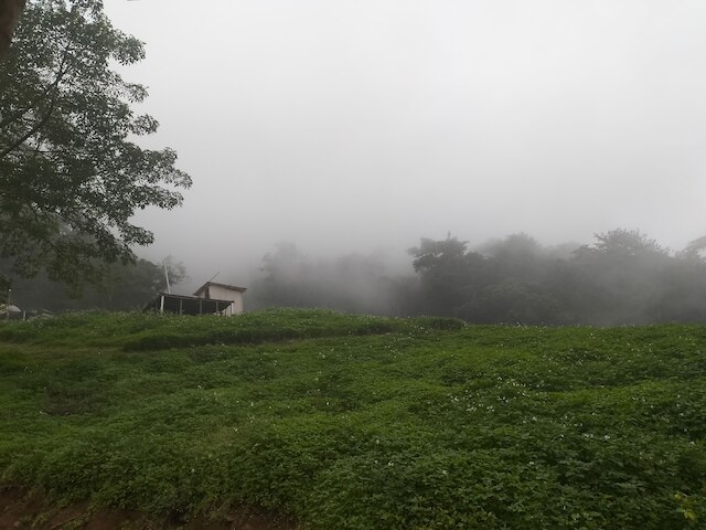 プーチーファリゾート