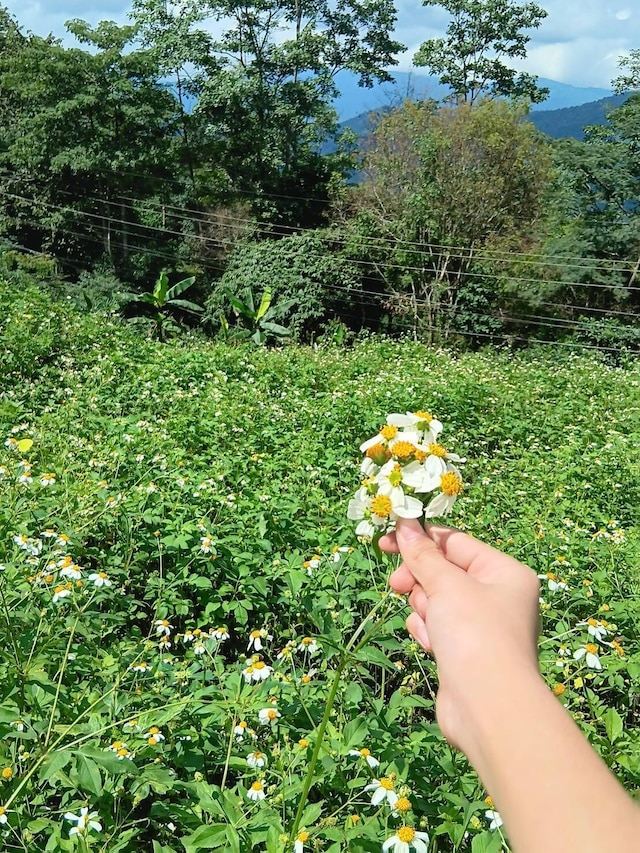 プーチーファリゾート