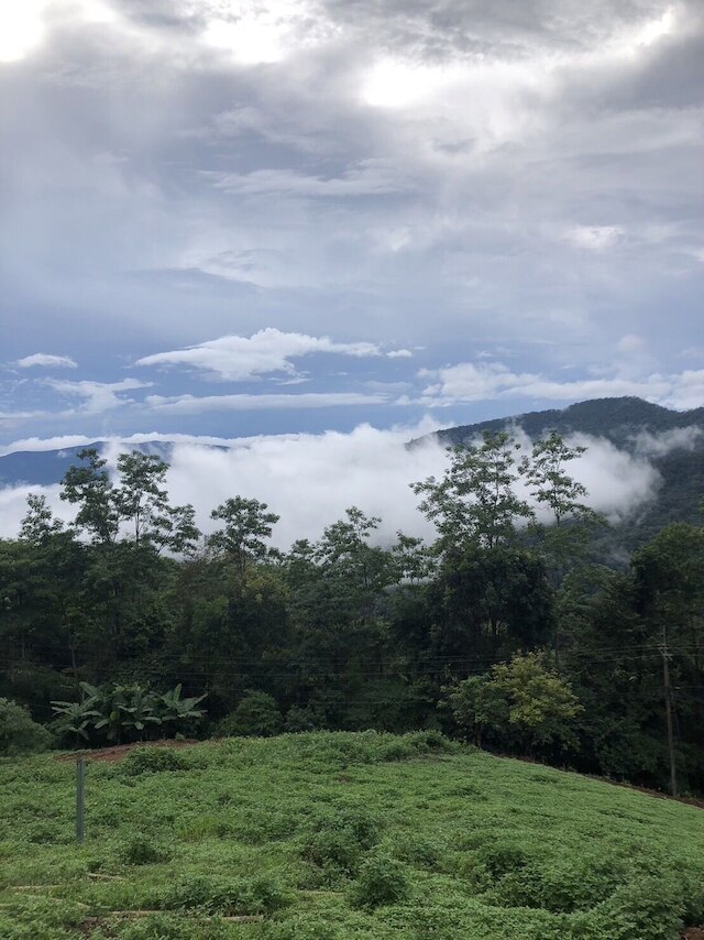 プーチーファリゾート