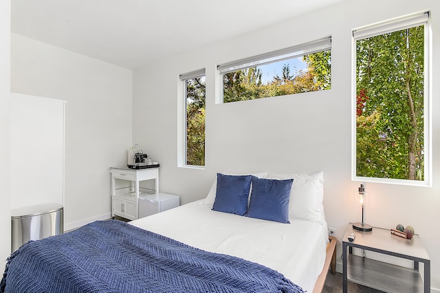 シラクスのドラゴンストーン・デン