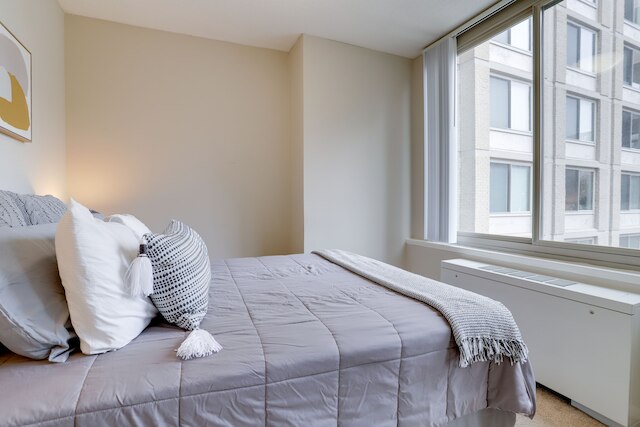 マグニフィセントコンドクリスタルシティウィズジム