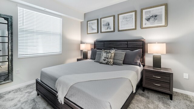 3151 パラドックス サークル ユニット 102