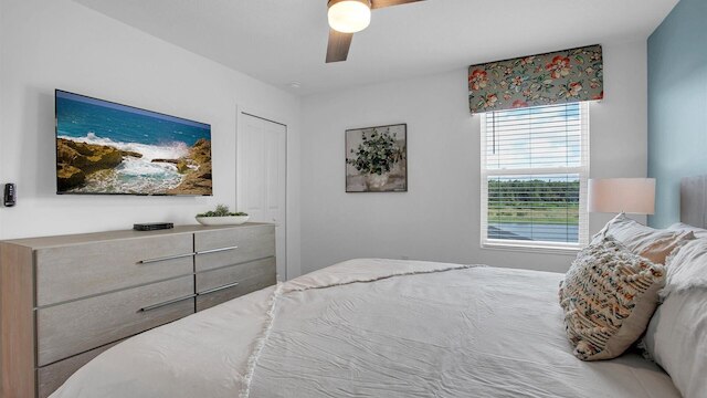 4169 パラグラフ ドライブ