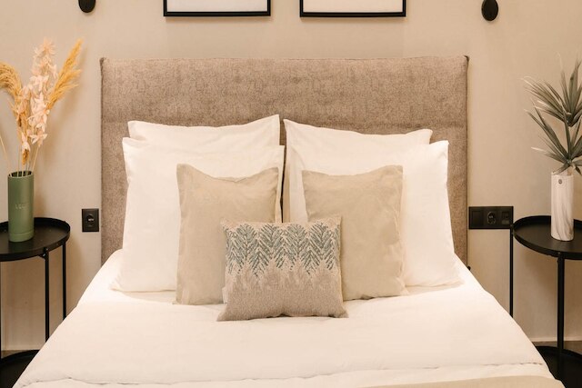 フェードラス・リビング: シティーセンター・ゼノノス・スイート