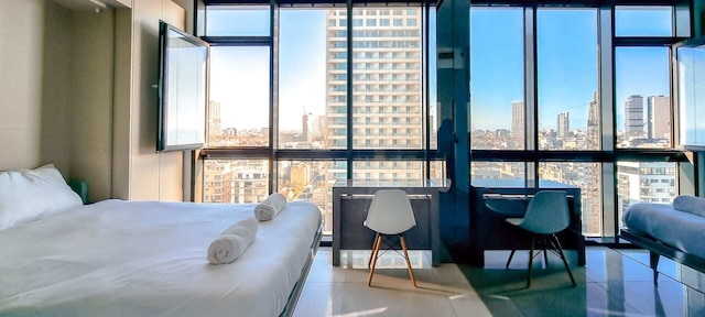 ハヤルコンブルーシー I