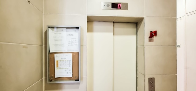 ディゼンゴフ・ムゲ