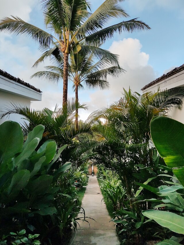 バハラ ナ ヴィラス