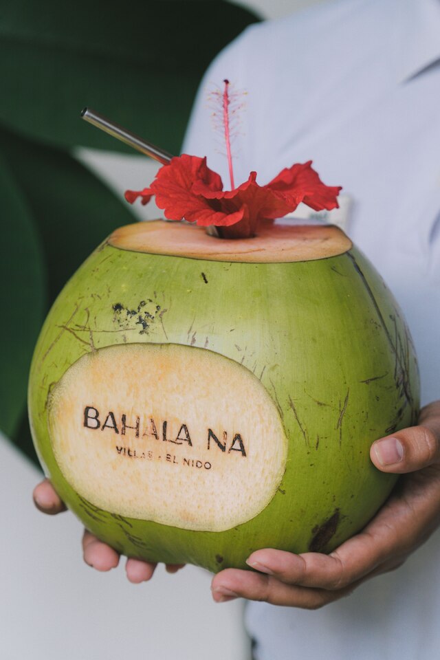 バハラ ナ ヴィラス