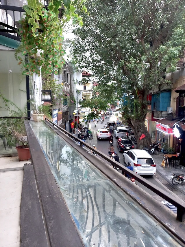 アメリー・ホームステイ