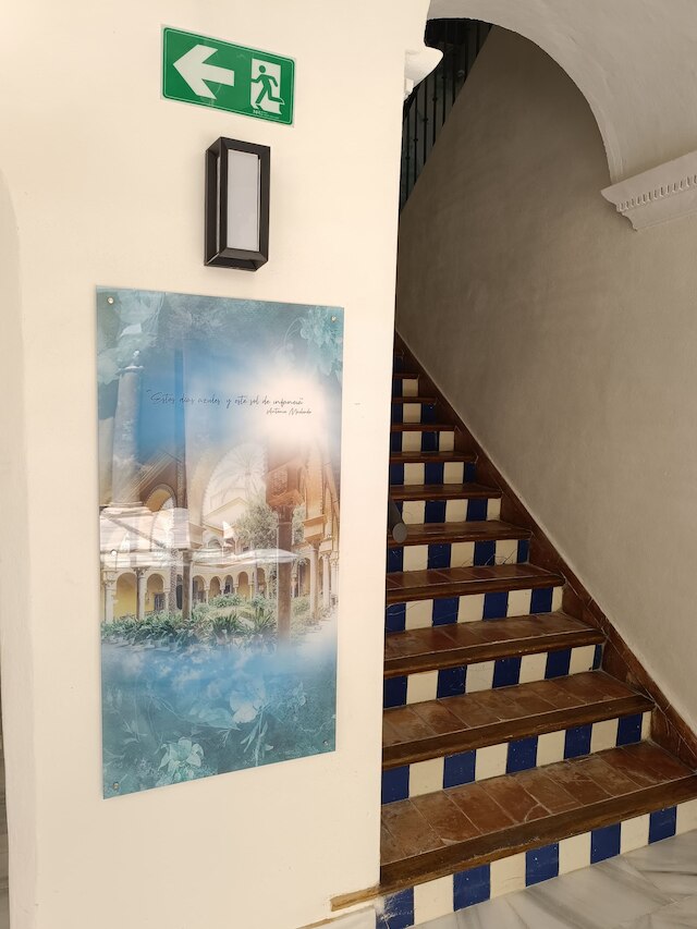 スロースイートサルバドール