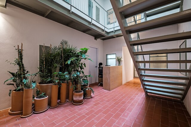 ニードコンデサ