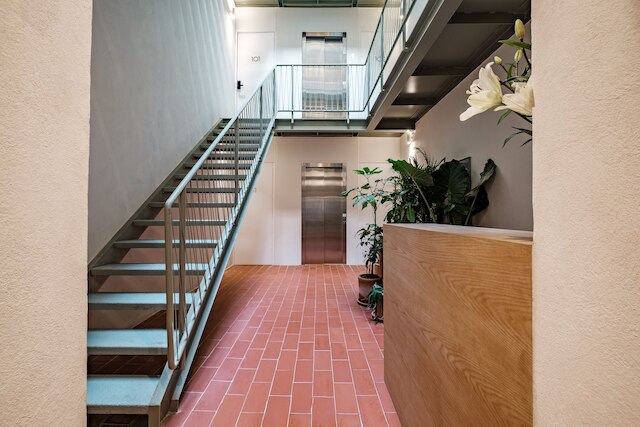 ニードコンデサ