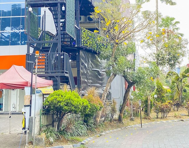 デュラガンカマルスハト