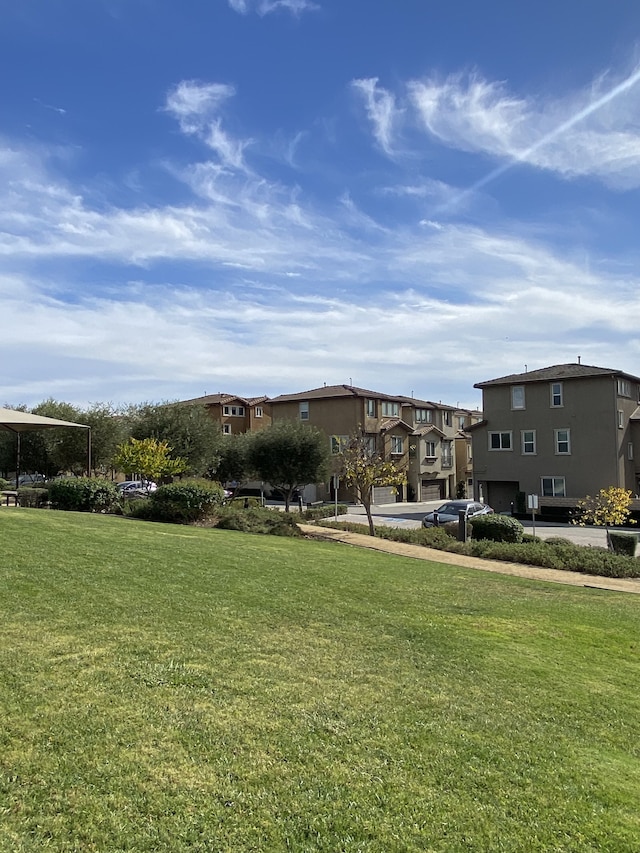 オリーブ・グレン