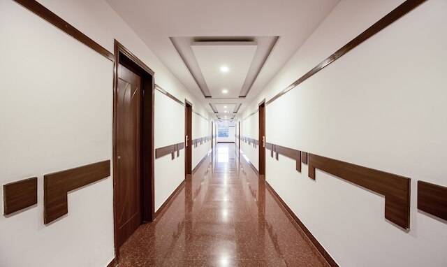 ツリーボー ニュー プラス ポイント