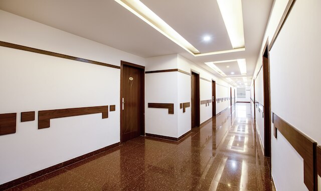 ツリーボー ニュー プラス ポイント