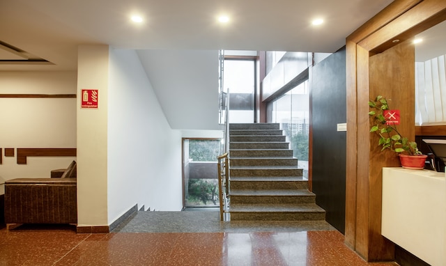 ツリーボー ニュー プラス ポイント