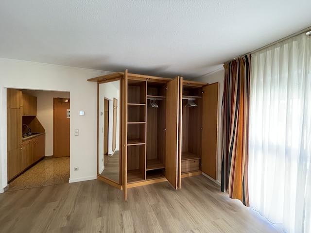 エウロテルアムマイン